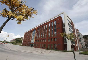 珠海金灣5所本科高校投檔線公布，職業(yè)教育培訓(xùn)助力學(xué)子成才